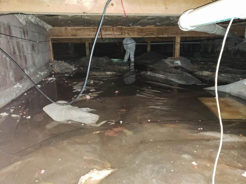 Basement Water Mitigation in Phoenix, AZ